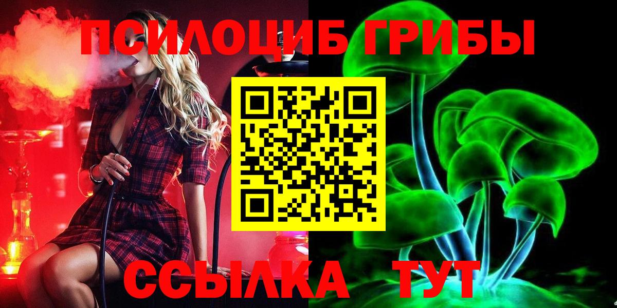 Псилоцибиновые грибы GOLDEN TEACHER Нурлат